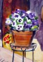 Pansies on Stand 